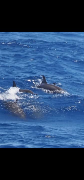 Strand Cleopatra Luxury Resort Makadi Bay