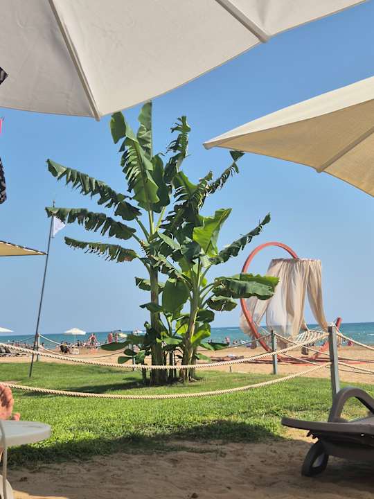 Strand VONRESORT Golden Beach