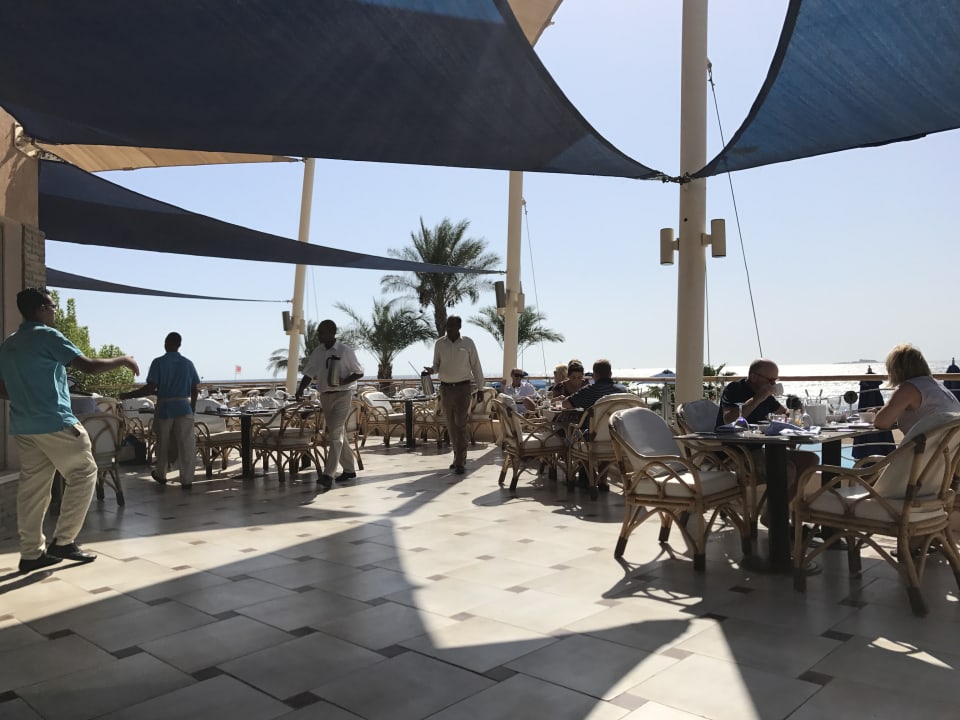 Gastro Shams Prestige Abu Soma-Adults Only