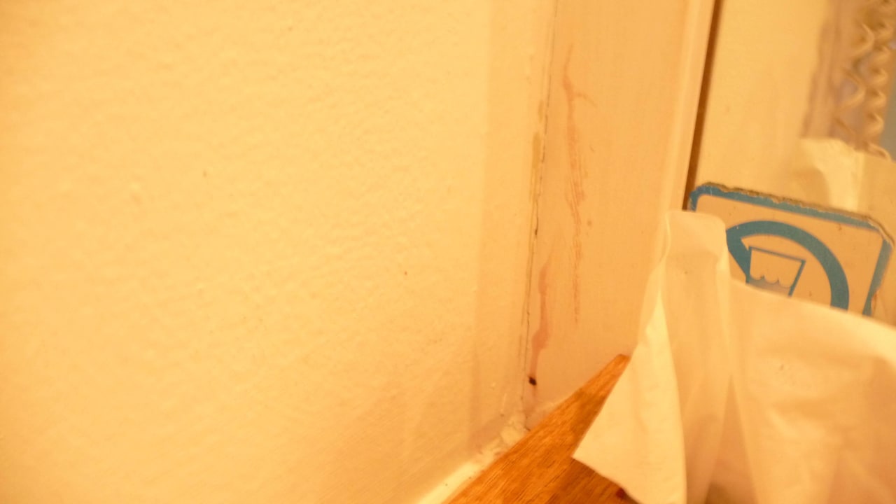 Sauber ist anders Wyndham Alltra Samana