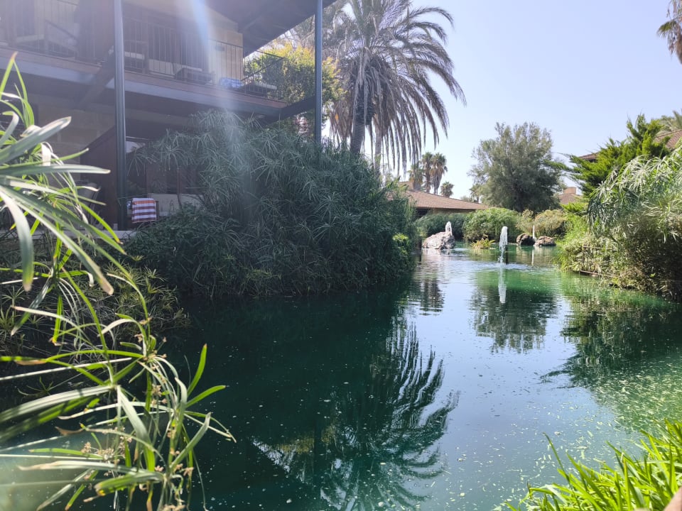 Gartenanlage PortBlue Club Pollentia Resort & Spa