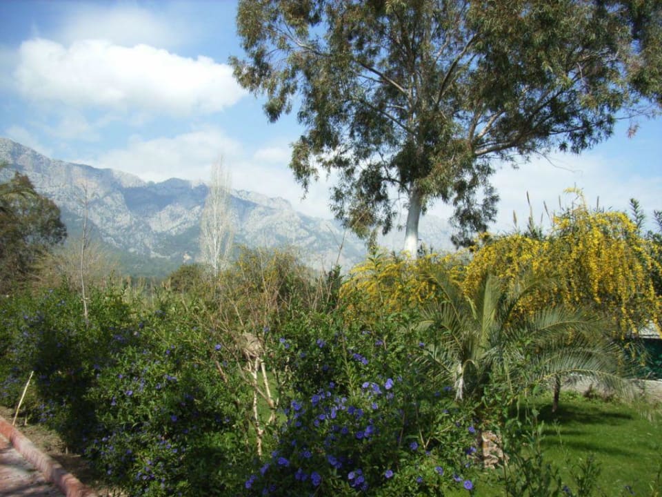 Blick vom Pool auf das Taurus Gebirge Armas Gül Beach
