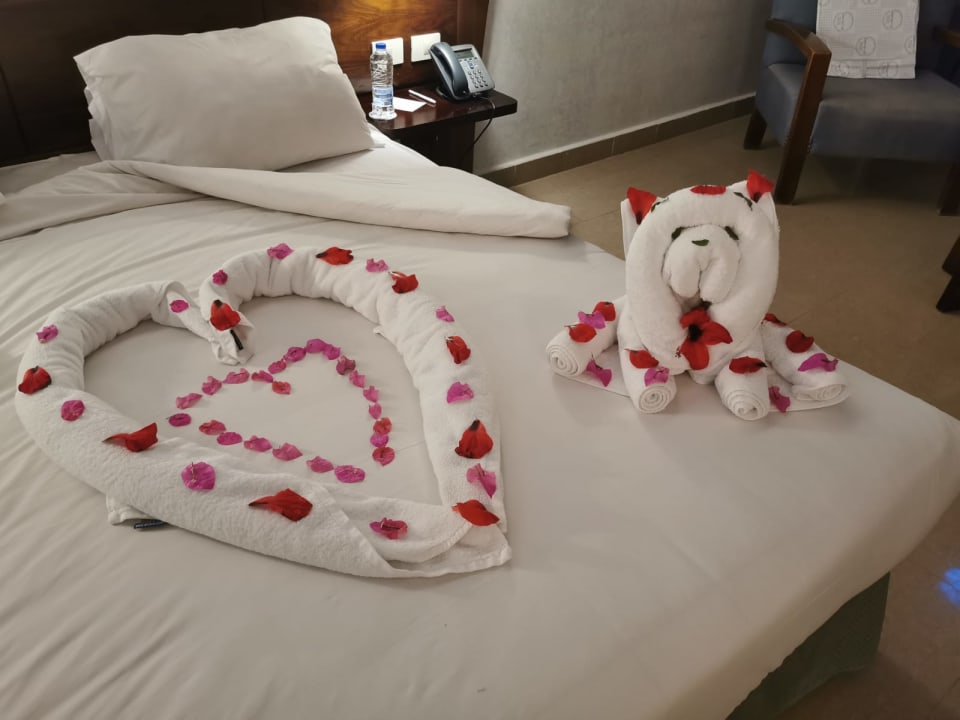 Zimmer Stella Garden Resort & Spa, Makadi Bay