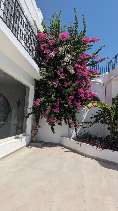 Gartenanlage Hotel Club Muskebi