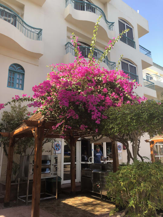 Gartenanlage Bella Vista Resort Hurghada