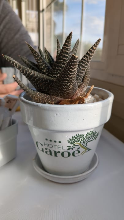 Gastro Hotel Riu Garoe