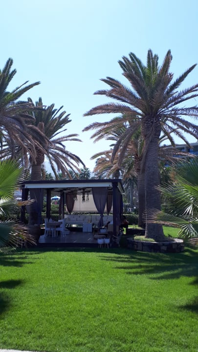 Gartenanlage Calimera Sirens Beach