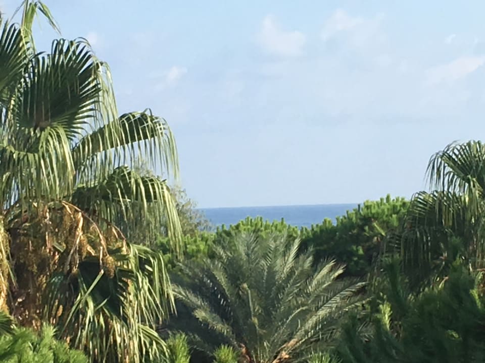 Zimmer Club Turtas Beach Hotel