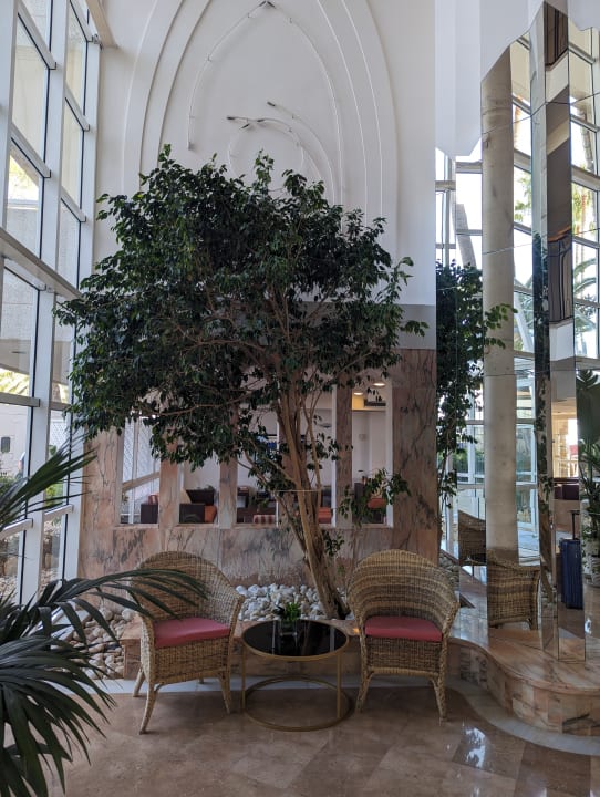 Lobby allsun App.-Hotel Orquidea Playa