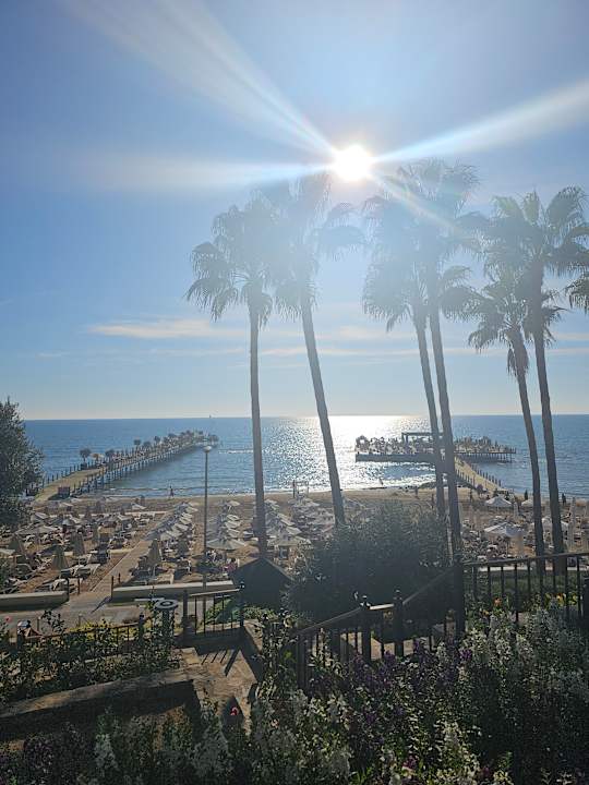 Gastro Arum Barut Collection