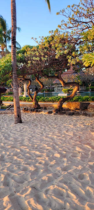 Strand La Pirogue Mauritius