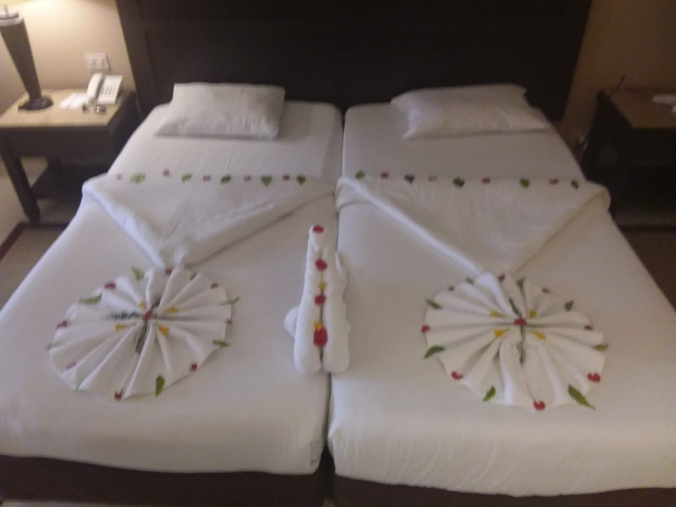 Zimmer Jaz Dar EL Madina