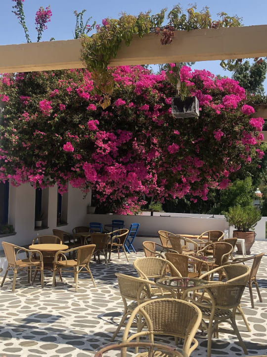 Gastro Ekaterini Hotel