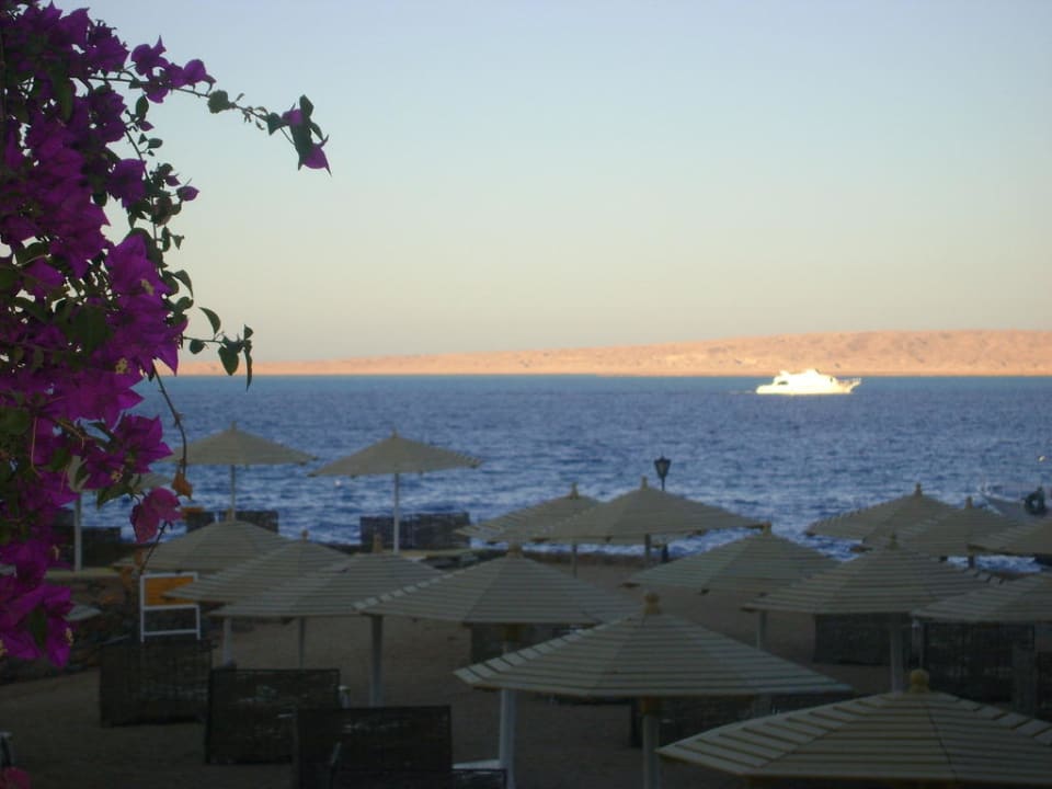 Вид из номера SUNRISE Holidays Resort (Adults Only)
