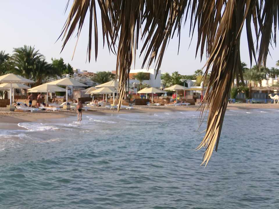 Strand Menaville Safaga