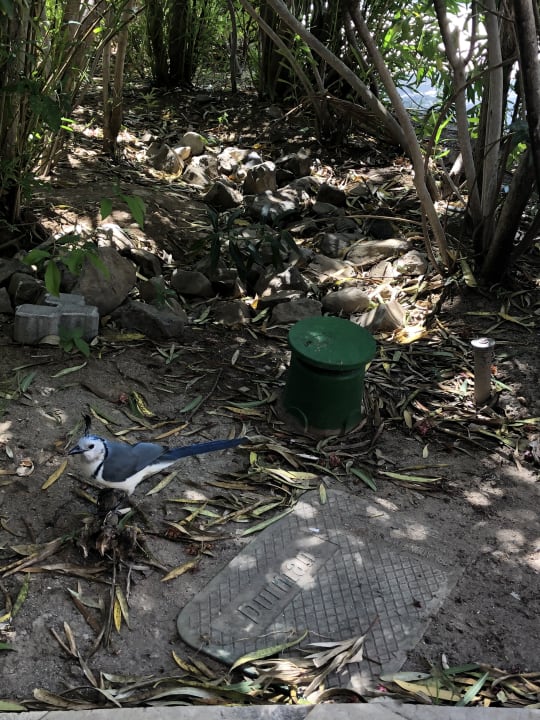 Sonstiges Dreams Las Mareas Costa Rica