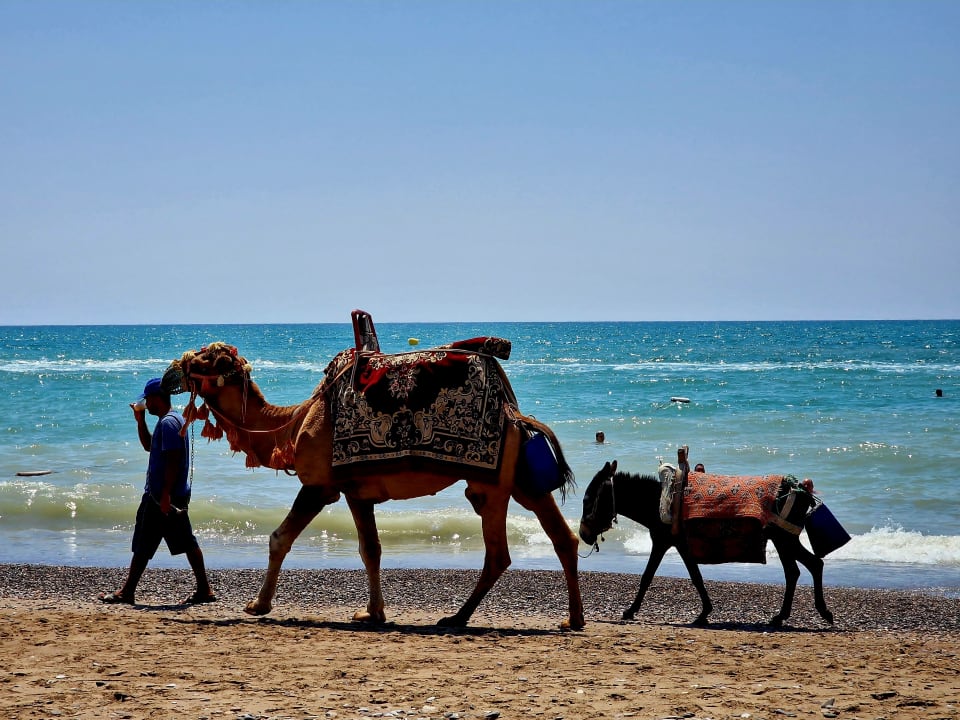 Strand Crystal Family Comfort Collection