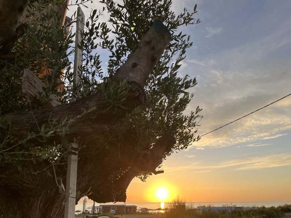 Außenansicht Apollon Xenonas Apparthotel