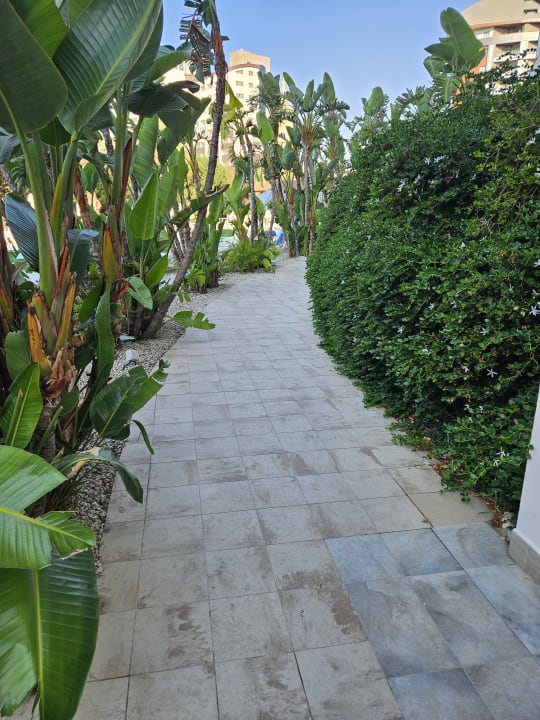 Gartenanlage Saturn Palace Resort Hotel