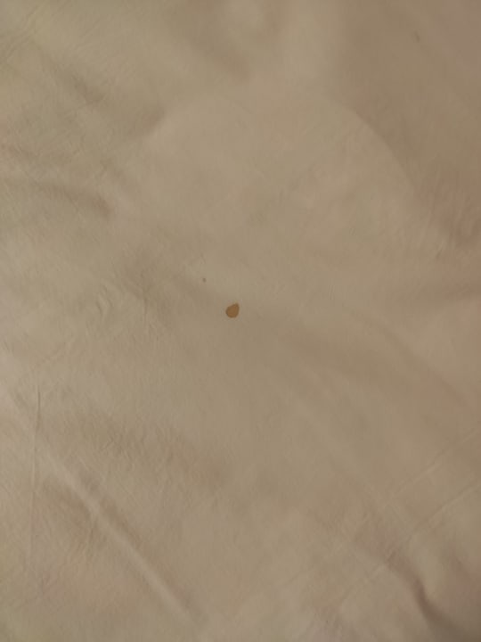 Zimmer Dreams La Romana Resort & Spa