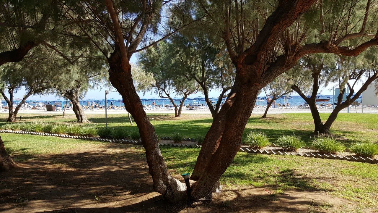 Restaurant Lindos Princess Beach Resort & Spa