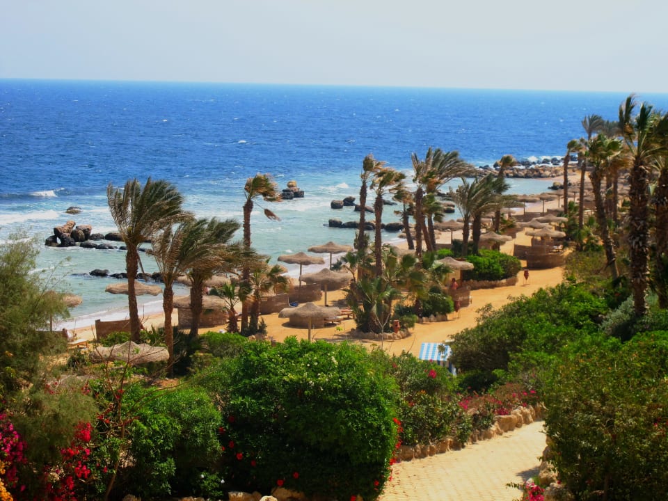 Цитадель азур Pickalbatros Citadel Resort