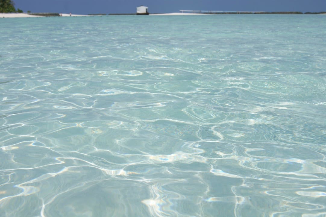 Wie kann man hier einen Pool vermissen? Summer Island Maldives