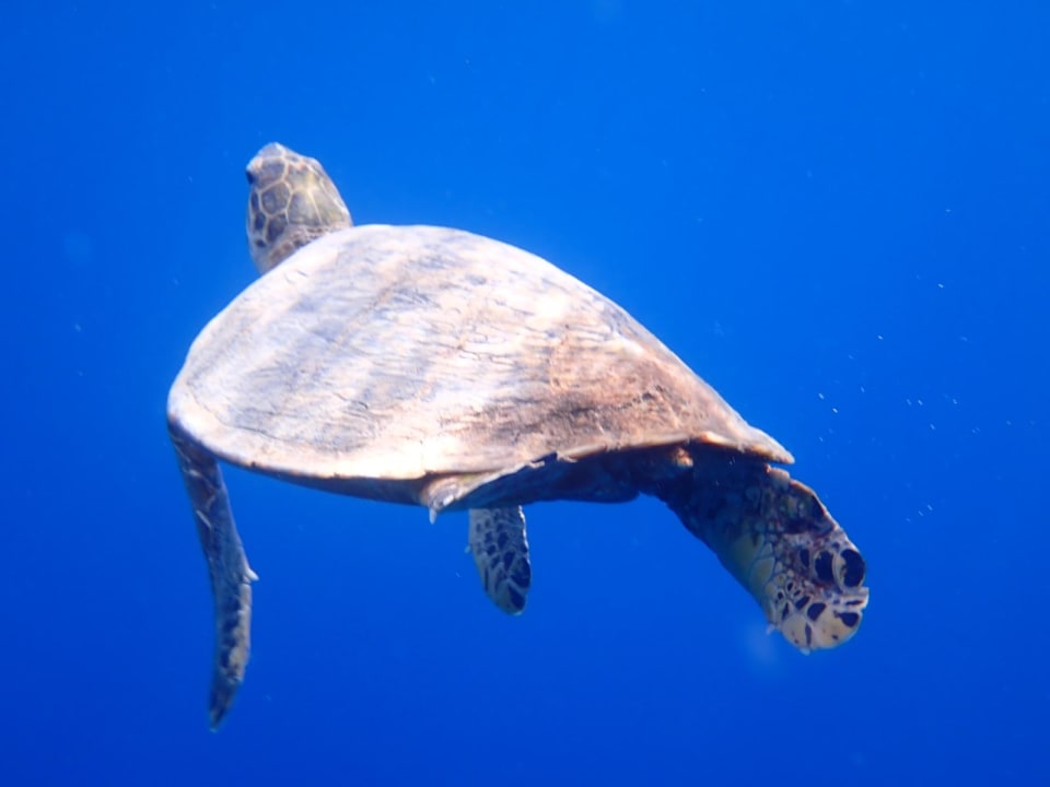 Sonstiges Three Corners Happy Life Beach Resort