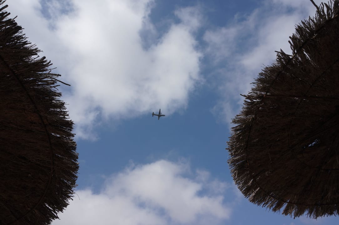 Poolanlage  Elba Carlota Beach & Golf Resort