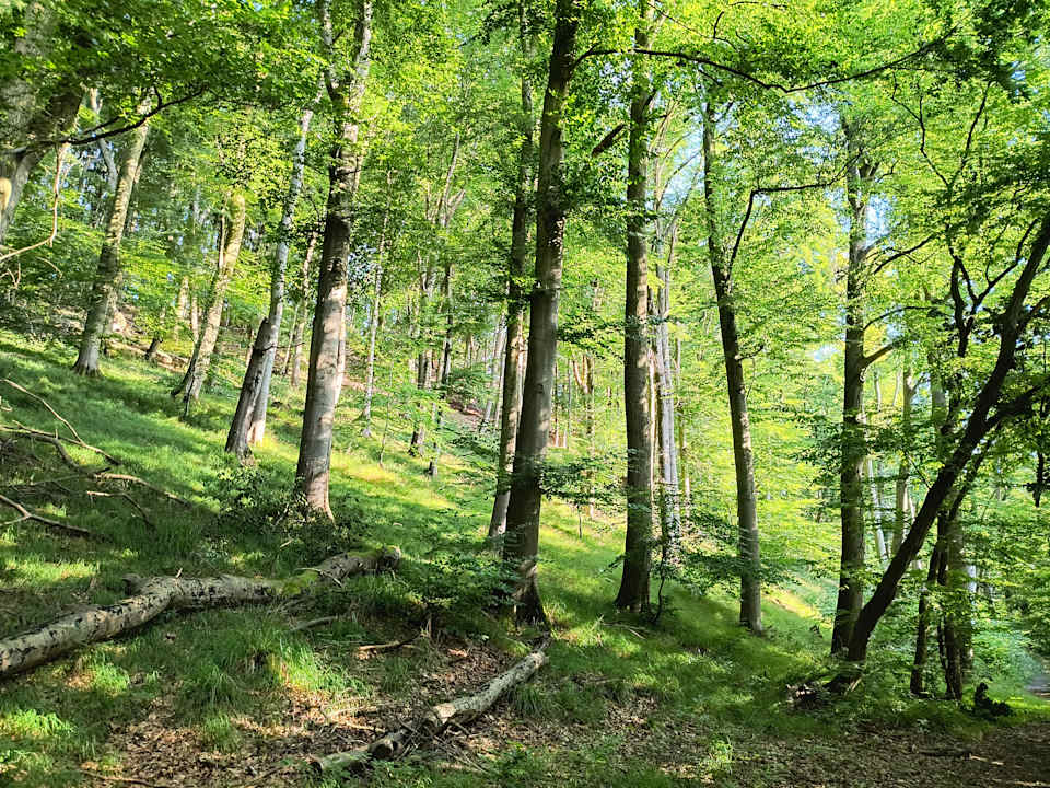 Ausblick Ferienhäuser Marx im Ferienpark Extertal
