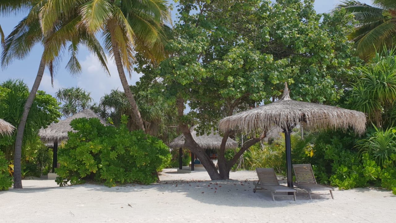 Garten Sun Siyam Iru Fushi