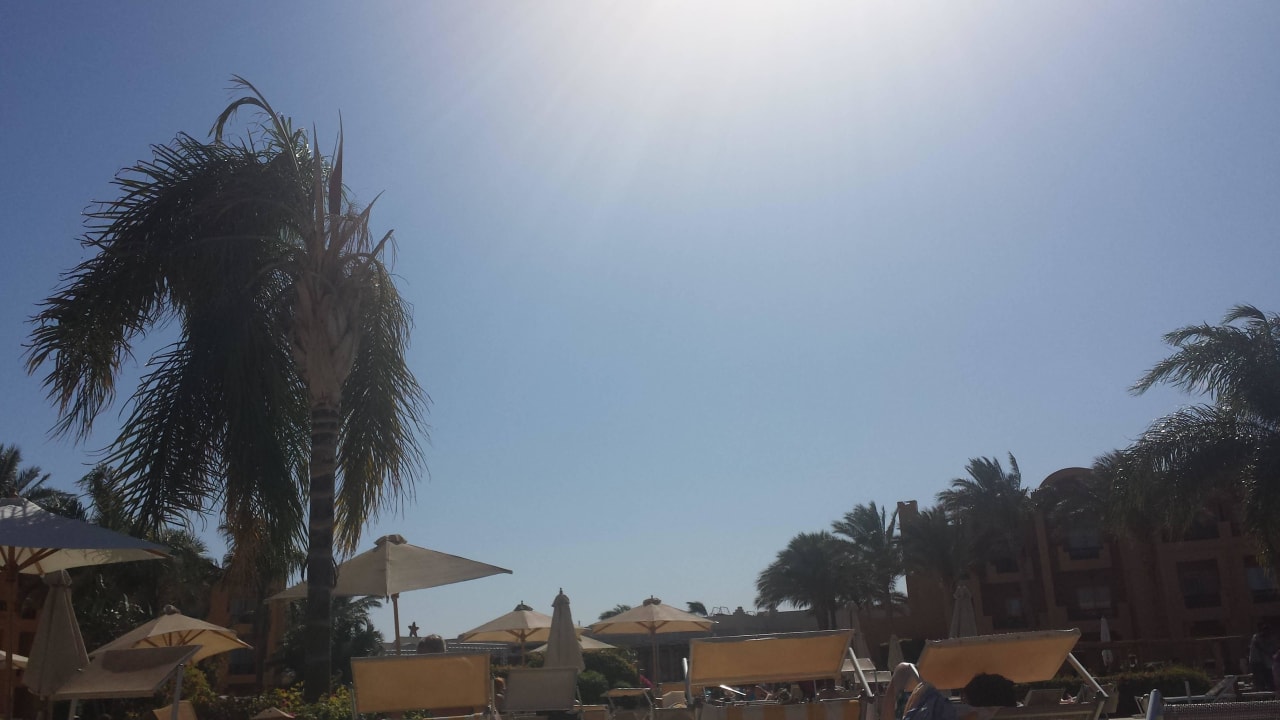 Die Liegefläsche am Pool Stella Beach Resort & Spa Makadi Bay