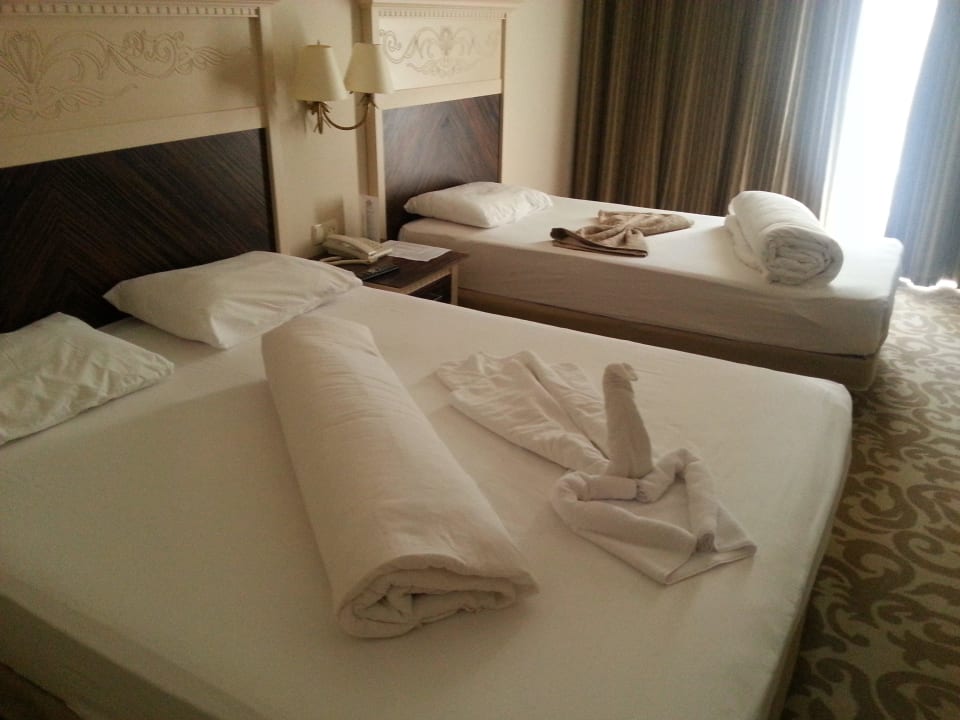 Schwan gegen Geld  Aydinbey Kings Palace & Spa