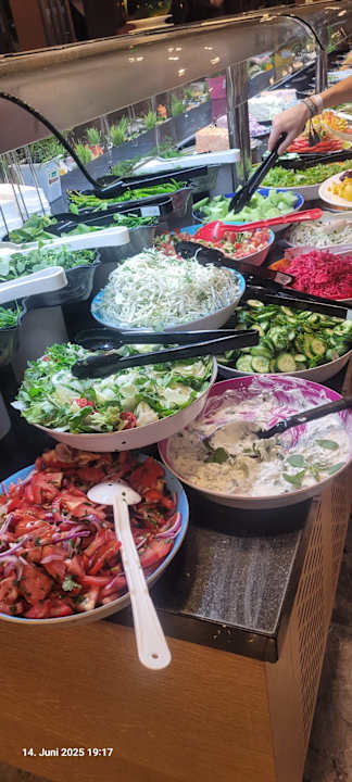 Gastro Seashell Vega