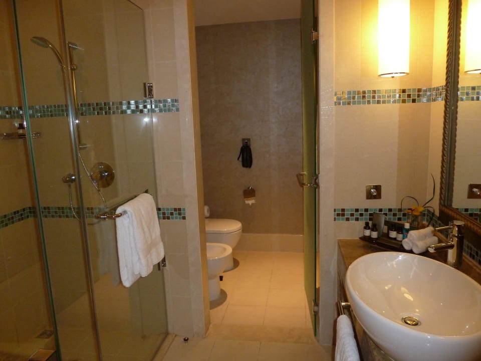Dusche/WC Fairmont The Palm
