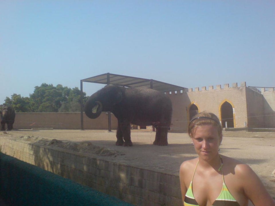 Safari Zoo ausflug La Santa Maria Hotel