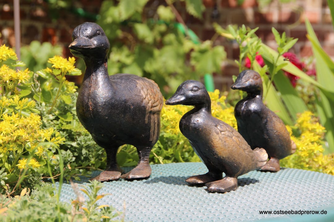 Gartenanlage Ferienwohnungen Fründt