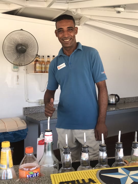 Sonstiges Desert Rose