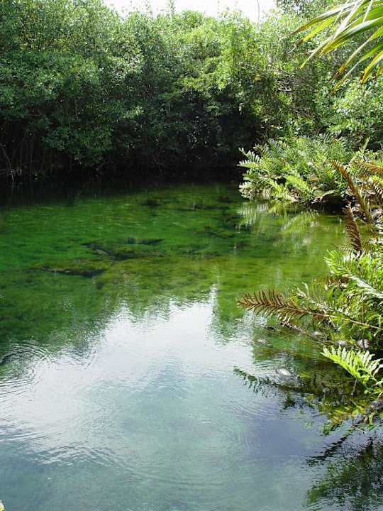 Hotelanlage Bel Air Collection Resort & Spa Riviera Maya