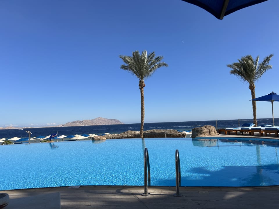 Pool Pickalbatros Palace Resort