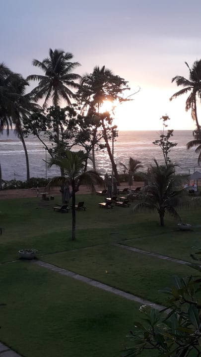 Gartenanlage Earl’s Reef Beruwala