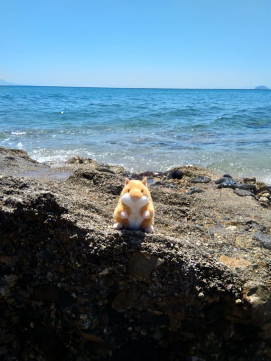 Strand Lagas Aegean Village