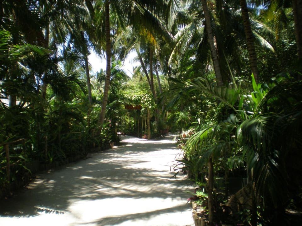 Inselinneres Summer Island Maldives