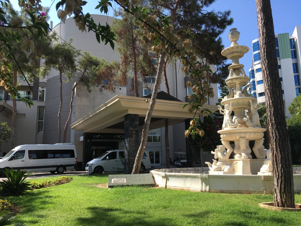 Der Eingang Papillon Ayscha