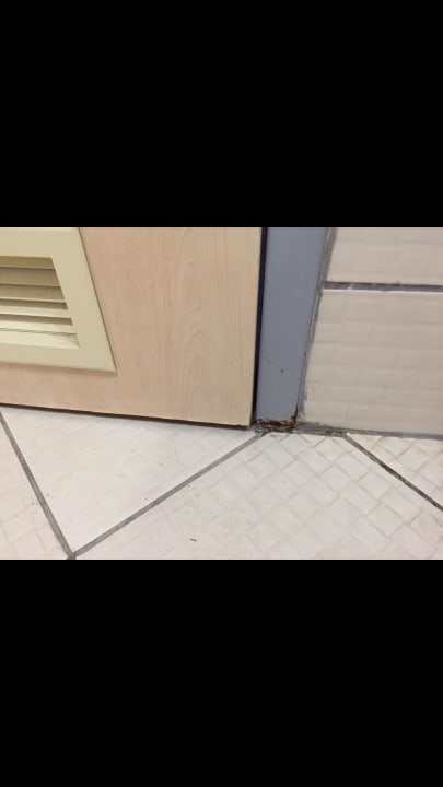 Hotel Starlight Convention Center & Spa Starlight Resort Hotel