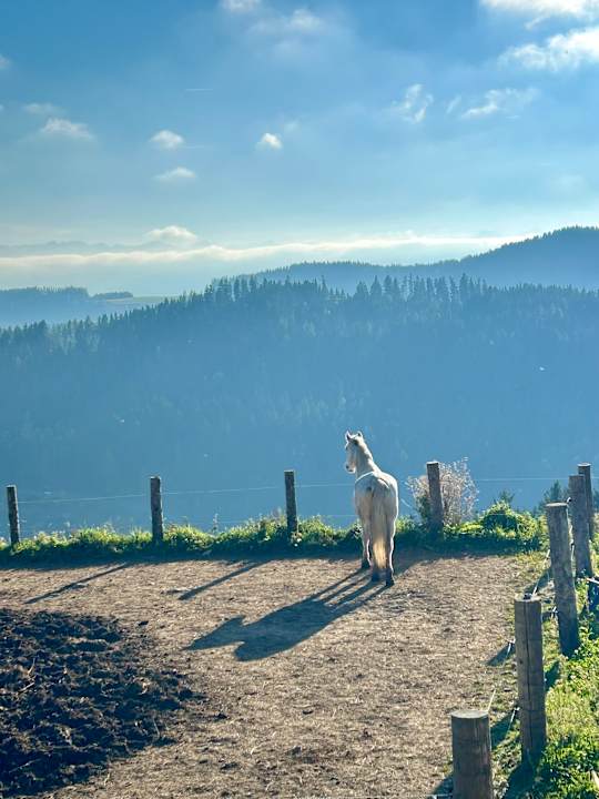 Sonstiges Familien Resort Petschnighof - Familotel Kärnten