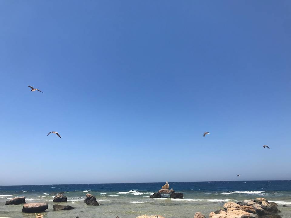 Strand Pickalbatros Citadel Resort