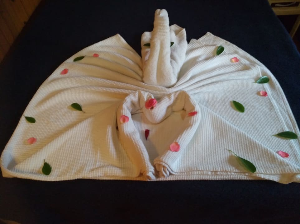 Zimmer Clover Magic Nova Beach