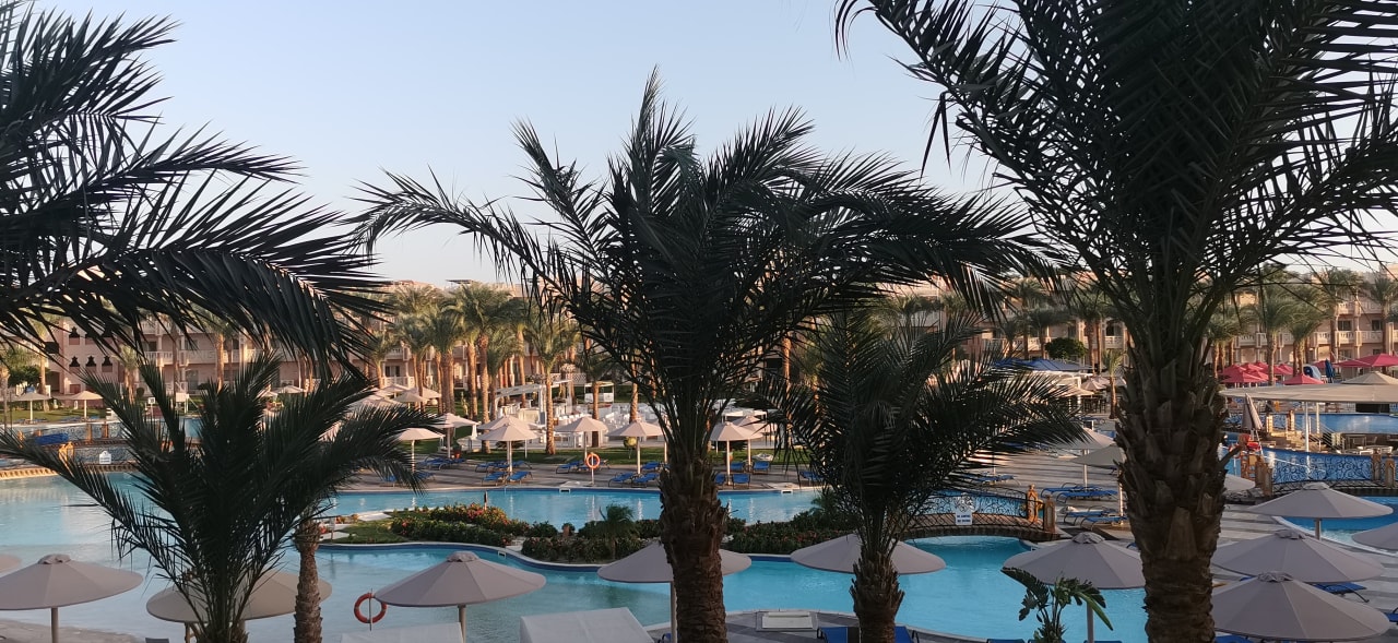 Pool Pickalbatros Palace Resort