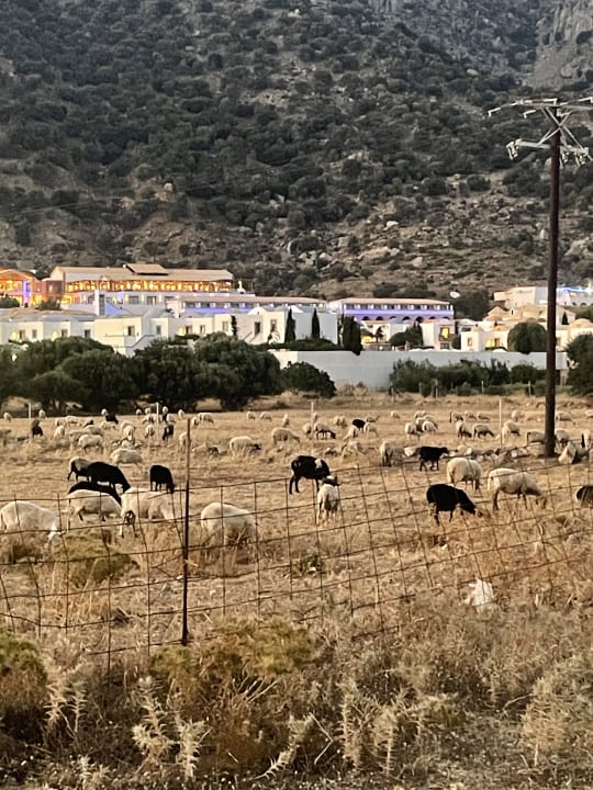 Außenansicht Kalimera Mare